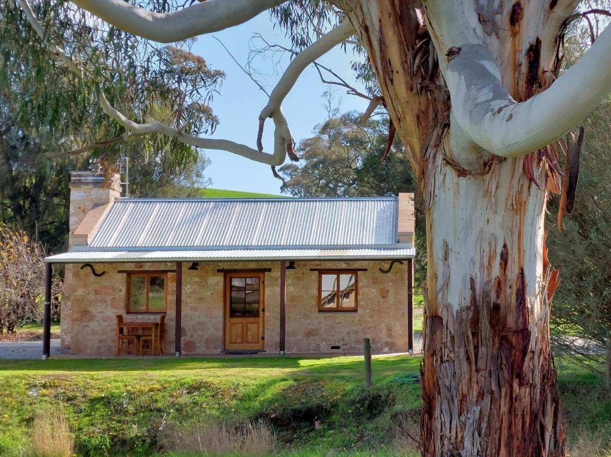 Bed and Breakfast Bungaree Station Exterior foto